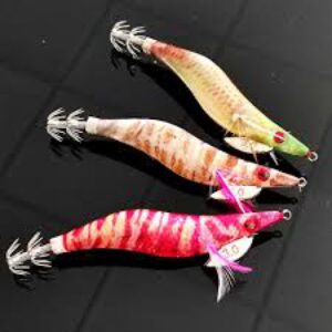 CABO SQUID  3.0