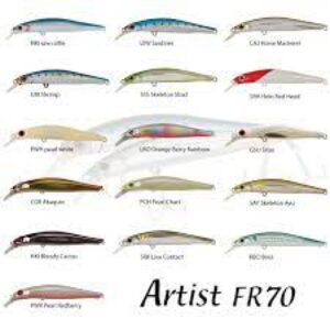 JACKSON ARTIST FR70