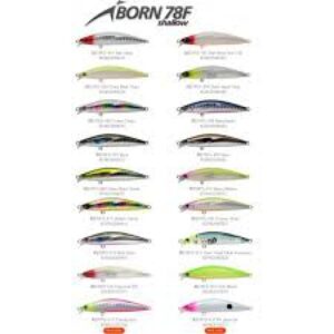 IMA IBORN 78F SHALLOW