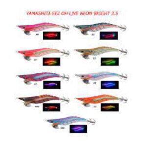 EGI OH LIVE NEON 3.0