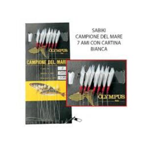 SABIKI AMI CAMPION MARE