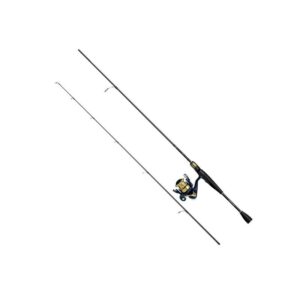 COMBO DAIWA 10