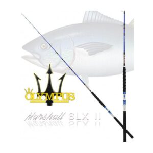 COMBO OLYMPUS MARSHALL SLX 240 STRONG KOREO 5000
