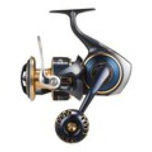 NEW SALTIGA 2025 8000-P