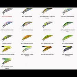 MAJOR CRAFT EDEN SALTWATER 60mm SINKING TYPE
