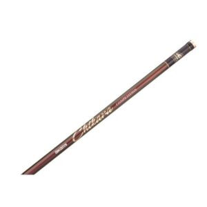 CAÑA AKAMI CHIKARA COMPETITION 420